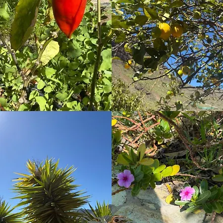 Medinas * Las Palmas de Gran Canaria